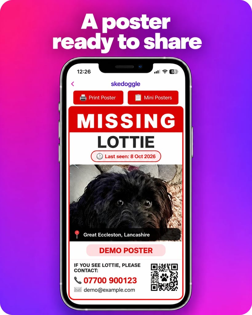 Demo lost dog poster ready to print and share.