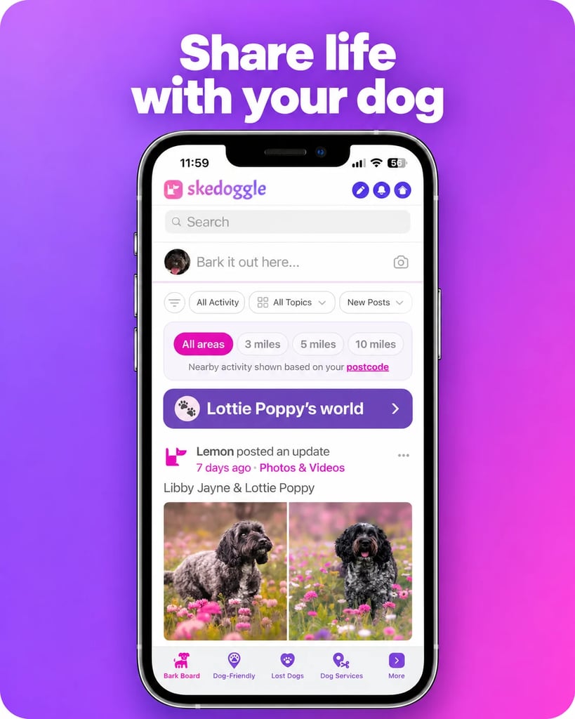 Skedoggle activity feed with a post showing Libby Jayne and Lottie Poppy.