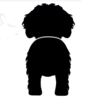 category icon